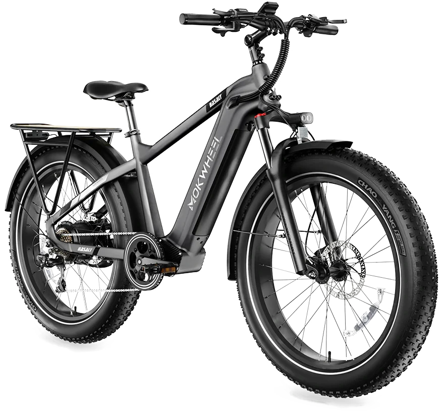 Mokwheel e-bike