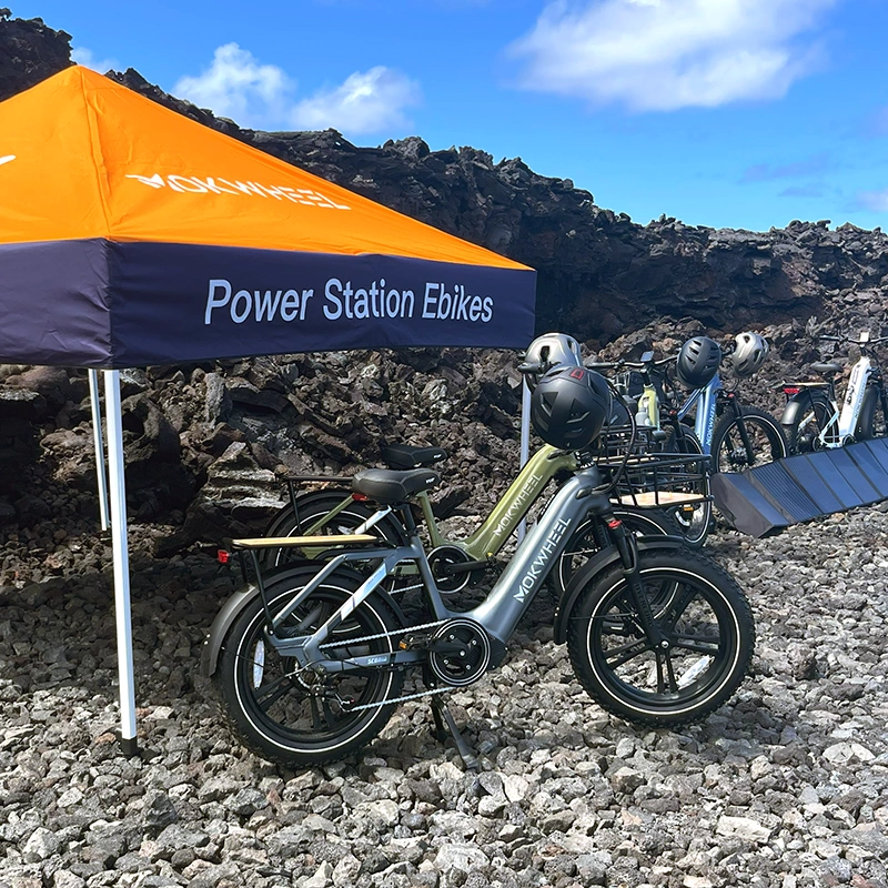 Demo Ebikes - Power Station - Big Island Hawaii