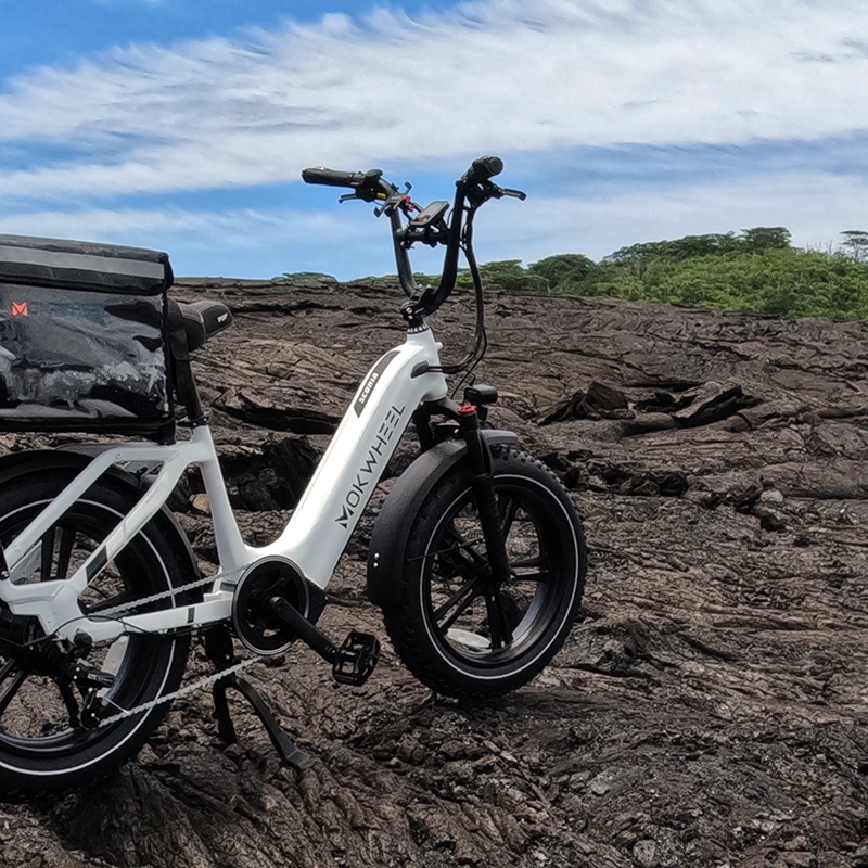 E110A electric moped - Unlock up to 40mph — Ebikes Hawaii